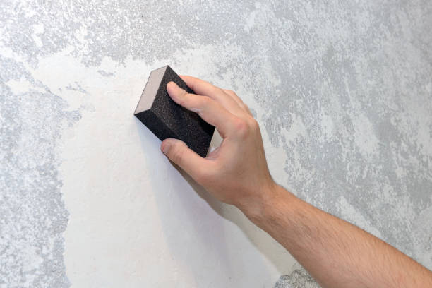 Best Real Estate Mold Inspection  in , NH