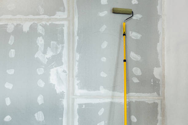 Best Residential Mold Inspection & Testing  in , NH