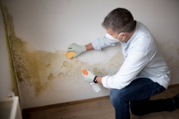 Best Post-Remediation Verification Testing  in , NH