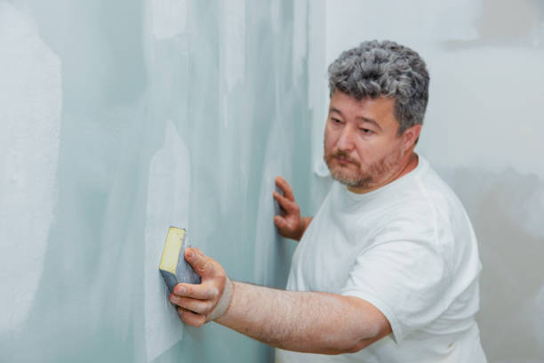 Best Dehumidification Services  in , NH