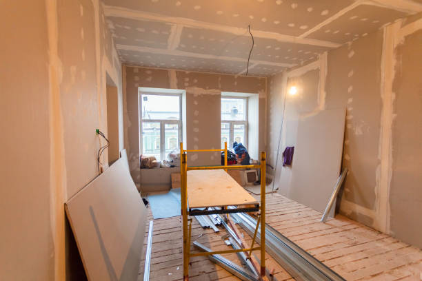 Best Black Mold Removal  in , NH